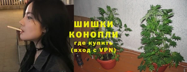 spice Балахна