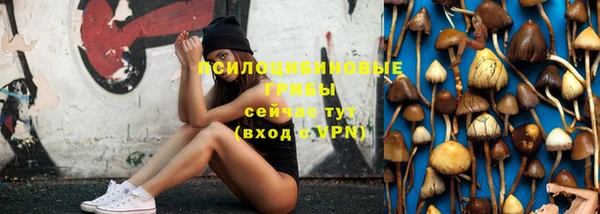 дмт Балабаново